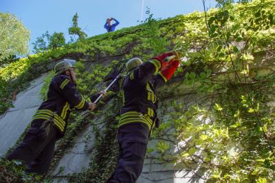 Stuttgart-Nord: Waschbaer haelt Feuerwehr auf Trab